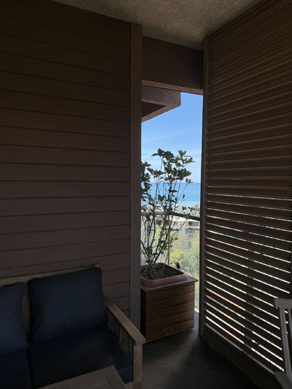 Secondary listing 74259631